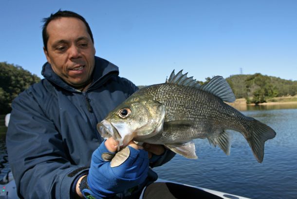 Bass and EP netter to face court